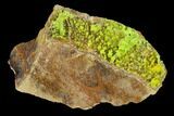 Vibrant Green Pyromorphite Crystals on Matrix - China #147658-2